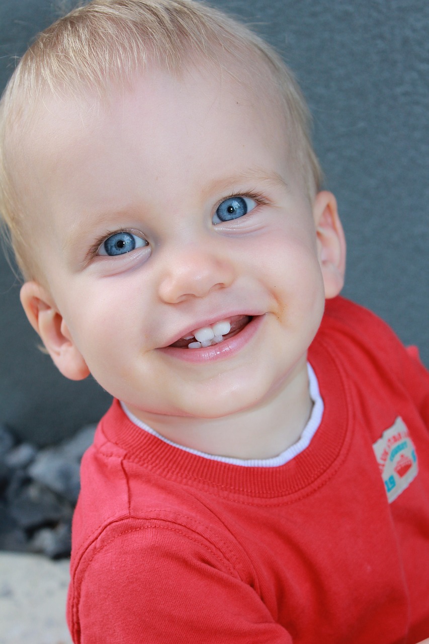 Teeth Stages | Belmont Dentist
